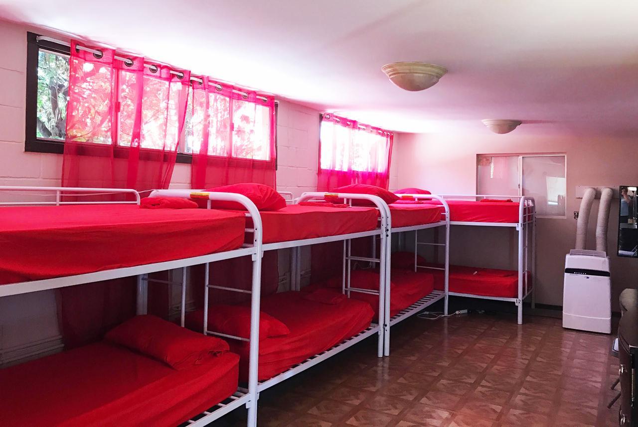 La International Hostel Los Angeles Kültér fotó